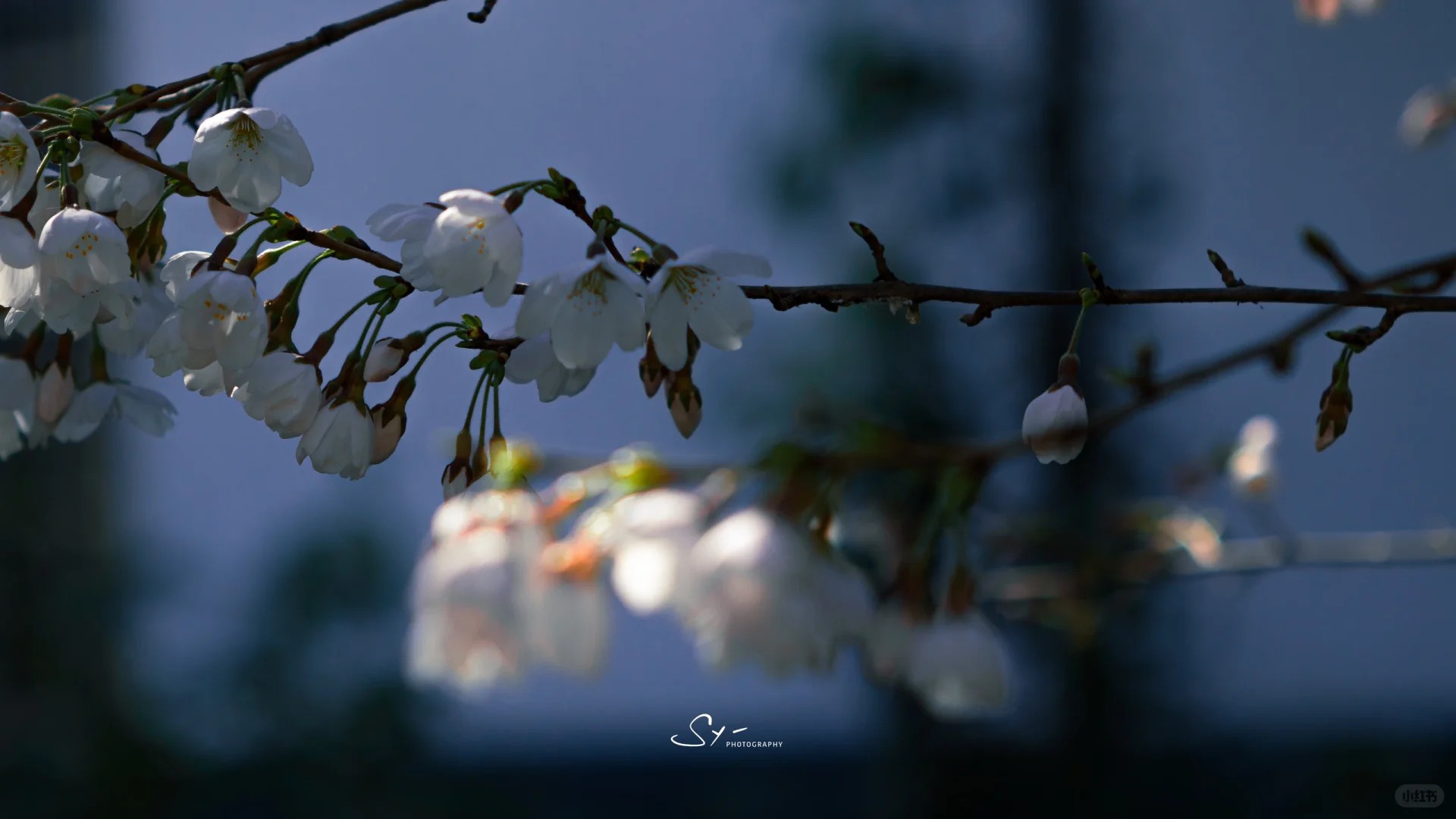 欢迎来到我的博客世界